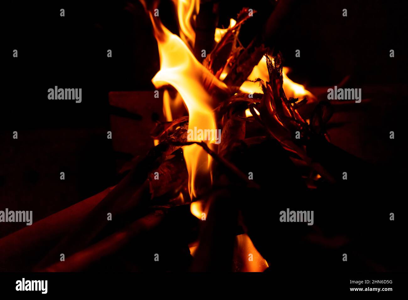 Flamable Reeds Beautiful formation of fire created by burning some dry reeds forming ...