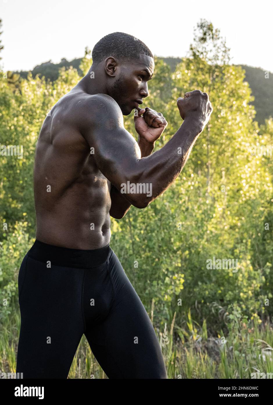 Boxer training in the forest Stock Photo