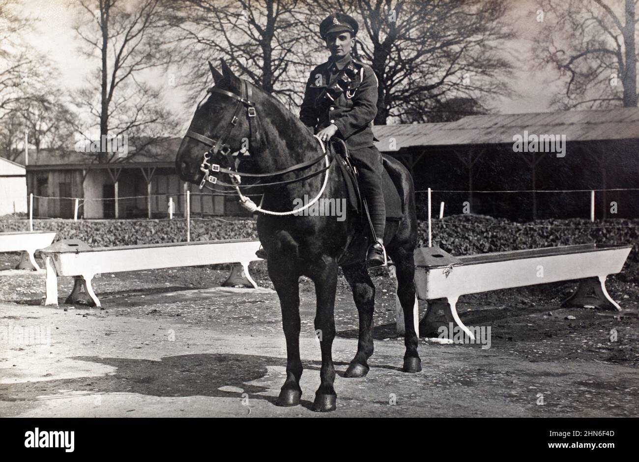 A First World War era picture of a Gunner in the Royal Field Artillery mounted on a horse in a stable area of the artillery depot in Boyton, Cornwall, England, Britain. Stock Photo