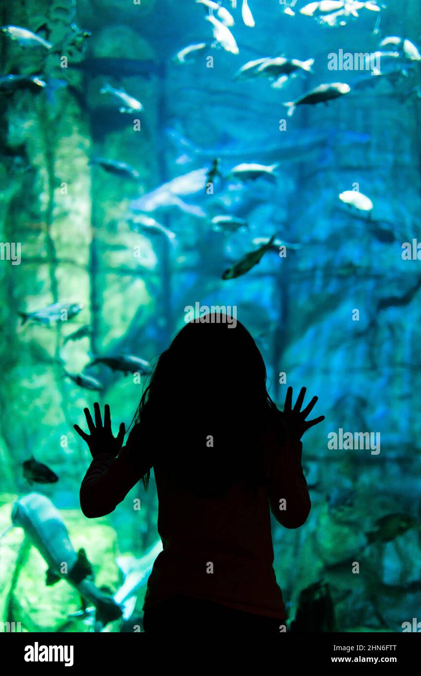 Silhouette of Child At an Aquarium Stock Photo
