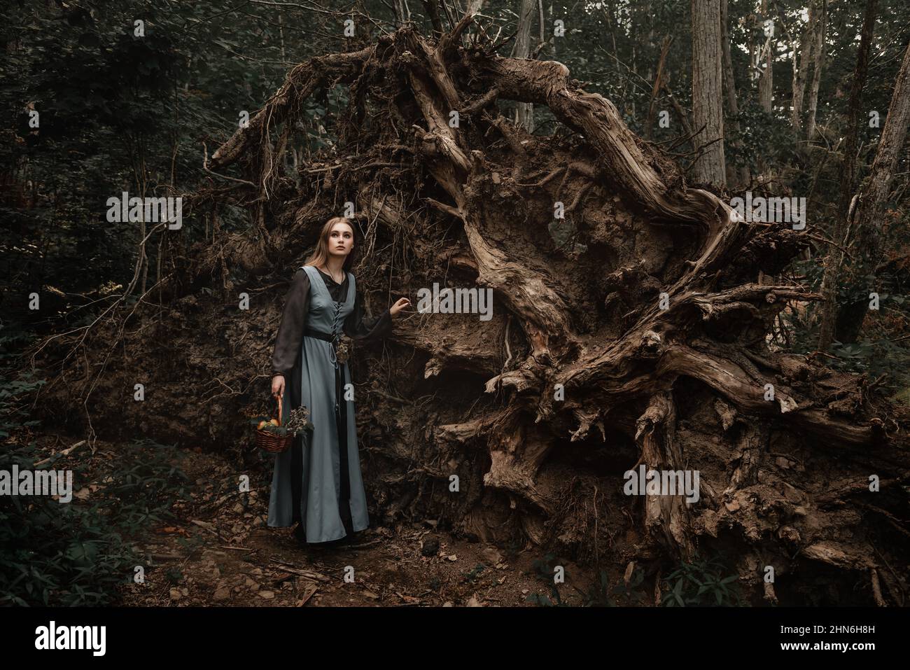 A mysterious witch walks in a dark forest Stock Photo
