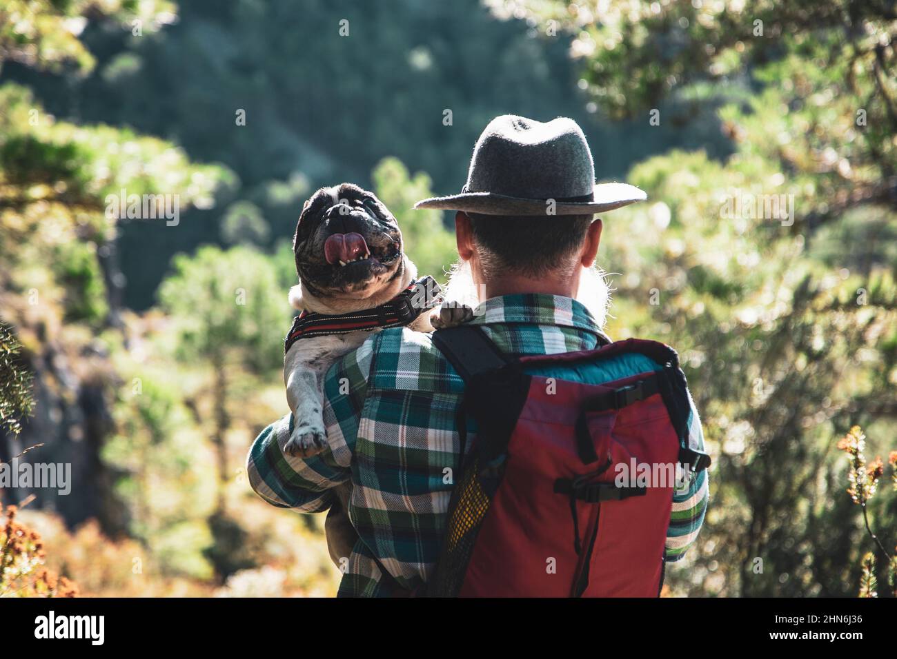 bearded walking in nature and carrying his dog dog on shoulders Stock