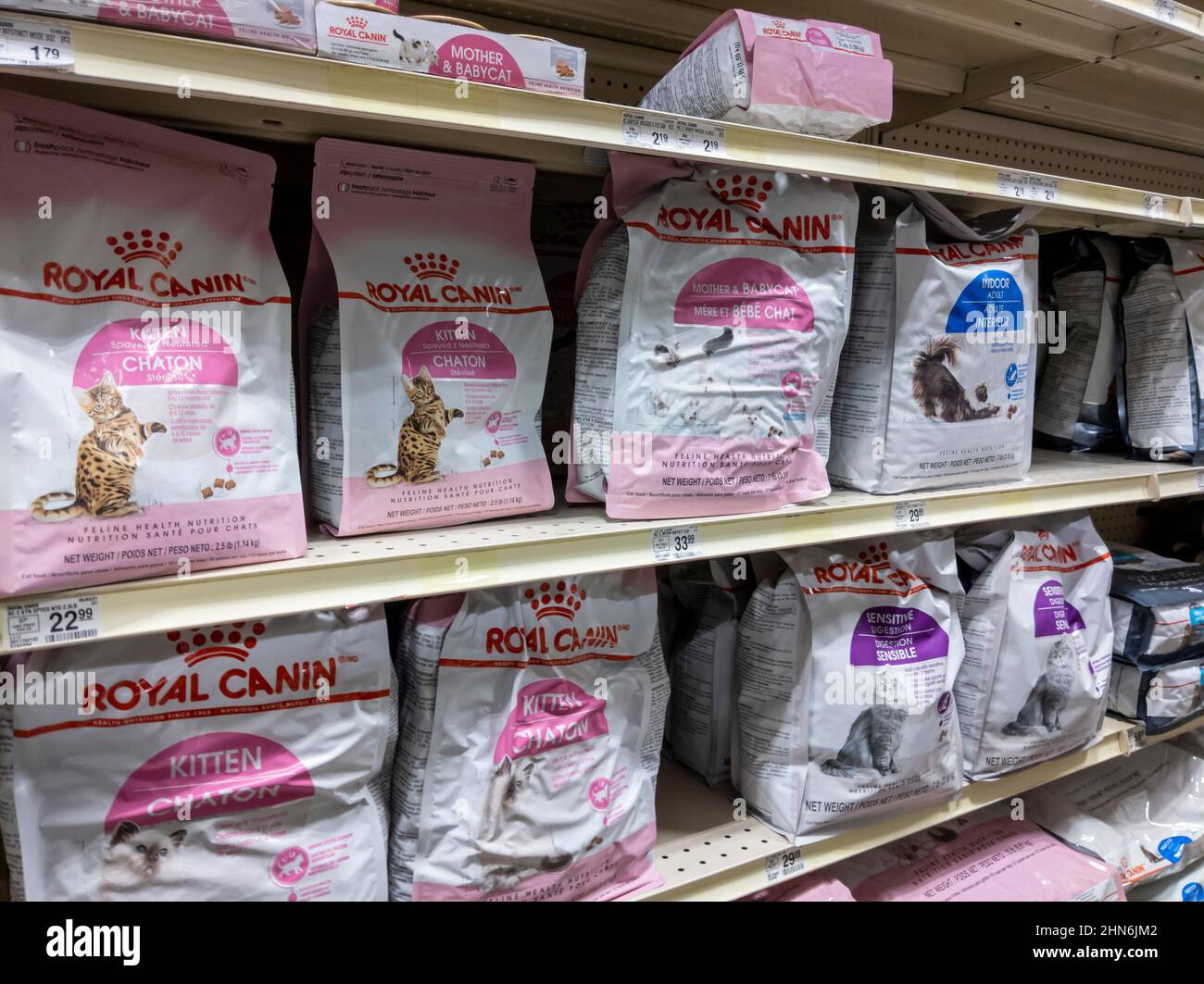 Woodinville, WA USA - circa February 2022: Angled, selective focus on Royal Canin kitten food inside of a Petsmart store. Stock Photo