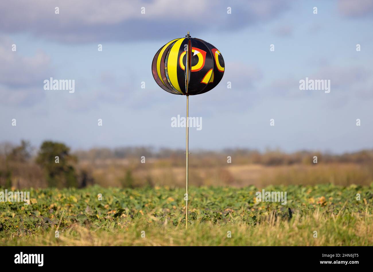 Wind driven agricultural bird scarer in a field protecting crops. Stock Photo