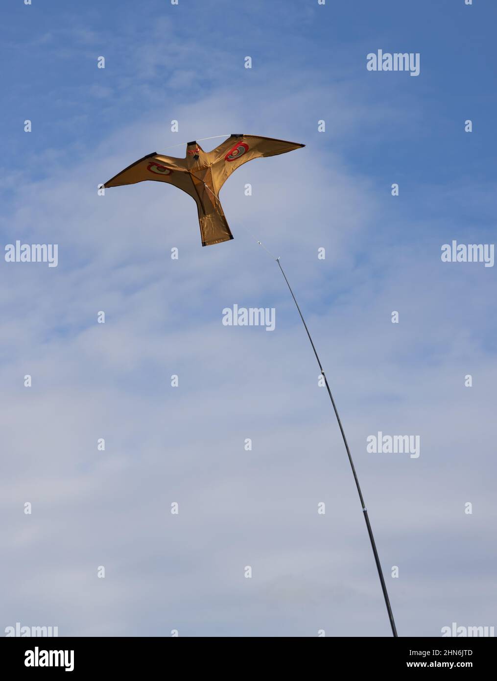 Hawk kite agricultural bird scarer in a field protecting crops. Stock Photo