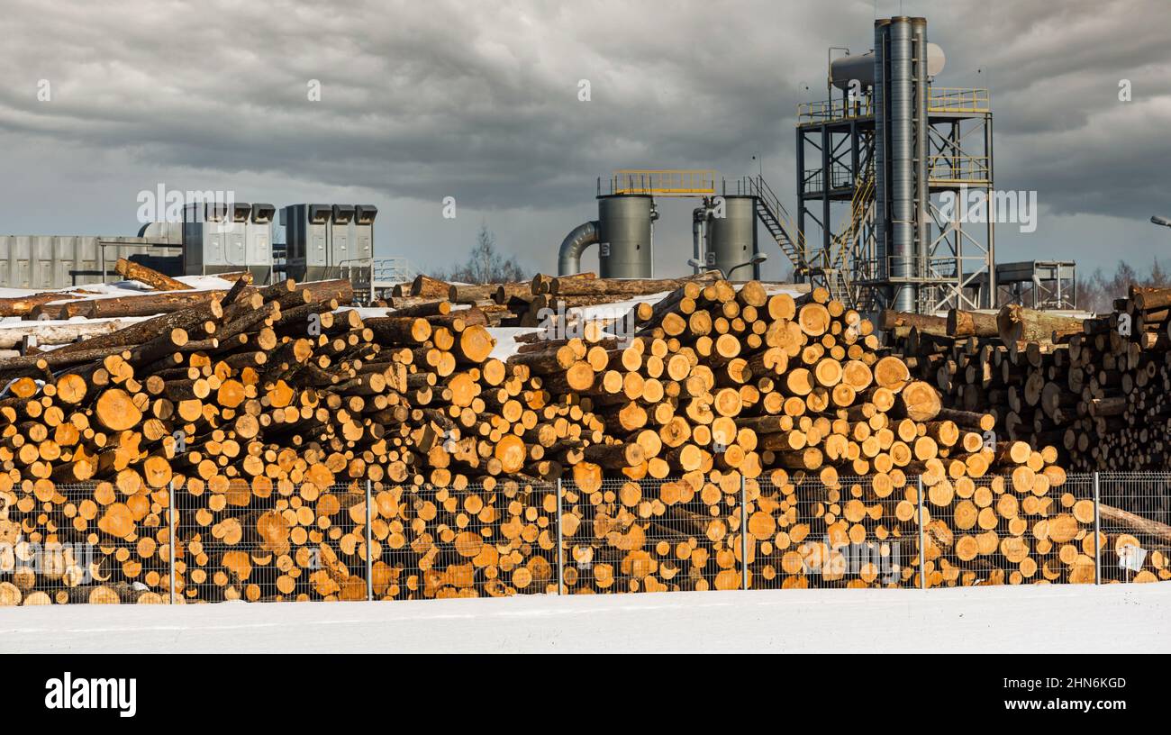 Wood processing plant. Furniture production. Industry. Environmental