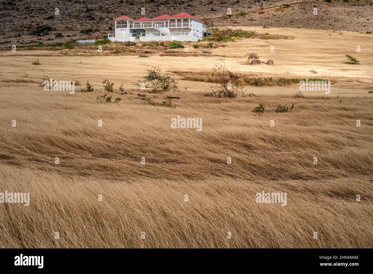 A traditional homestead, located above a grazing area for cattle at