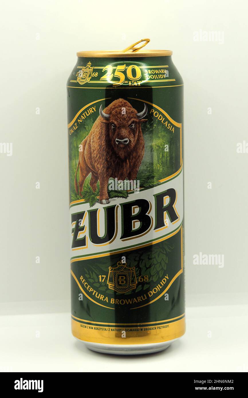 Zubr (bison) Polish beer can Stock Photo