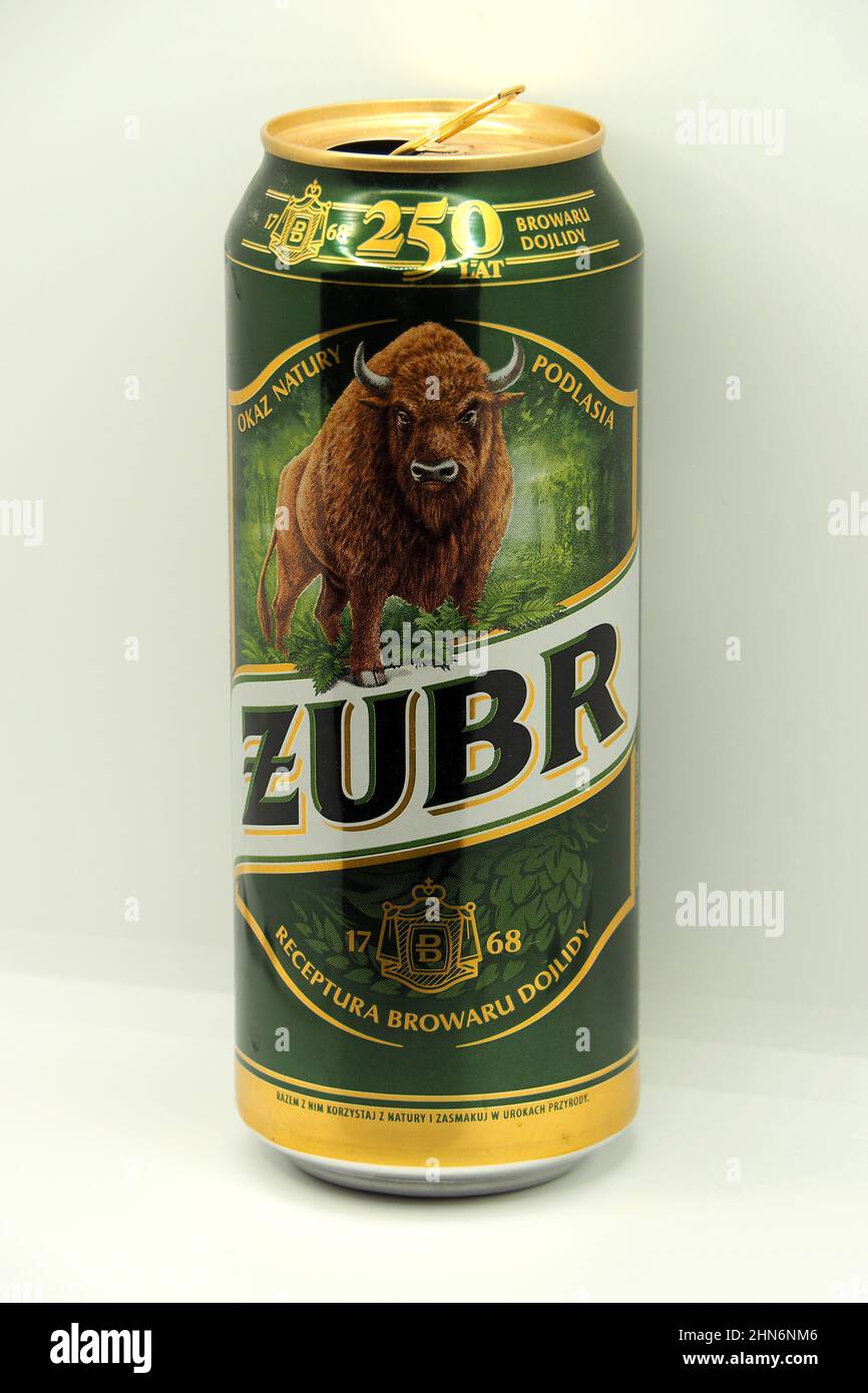 Zubr (bison) Polish beer can Stock Photo