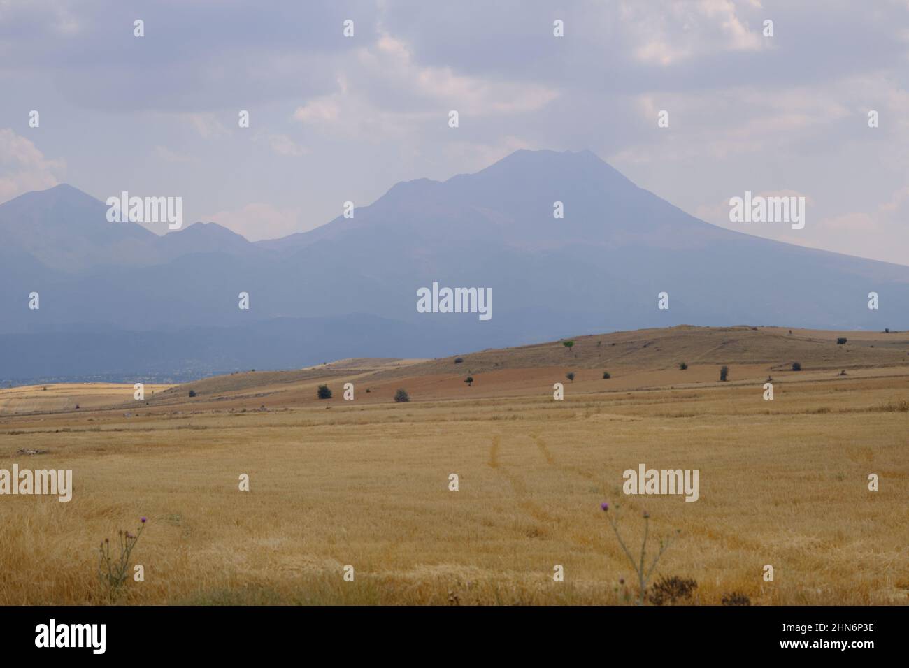 Huge mountain background, hasan mountain local name is hasan dagi background of agricultural field, field of wheat area. Stock Photo