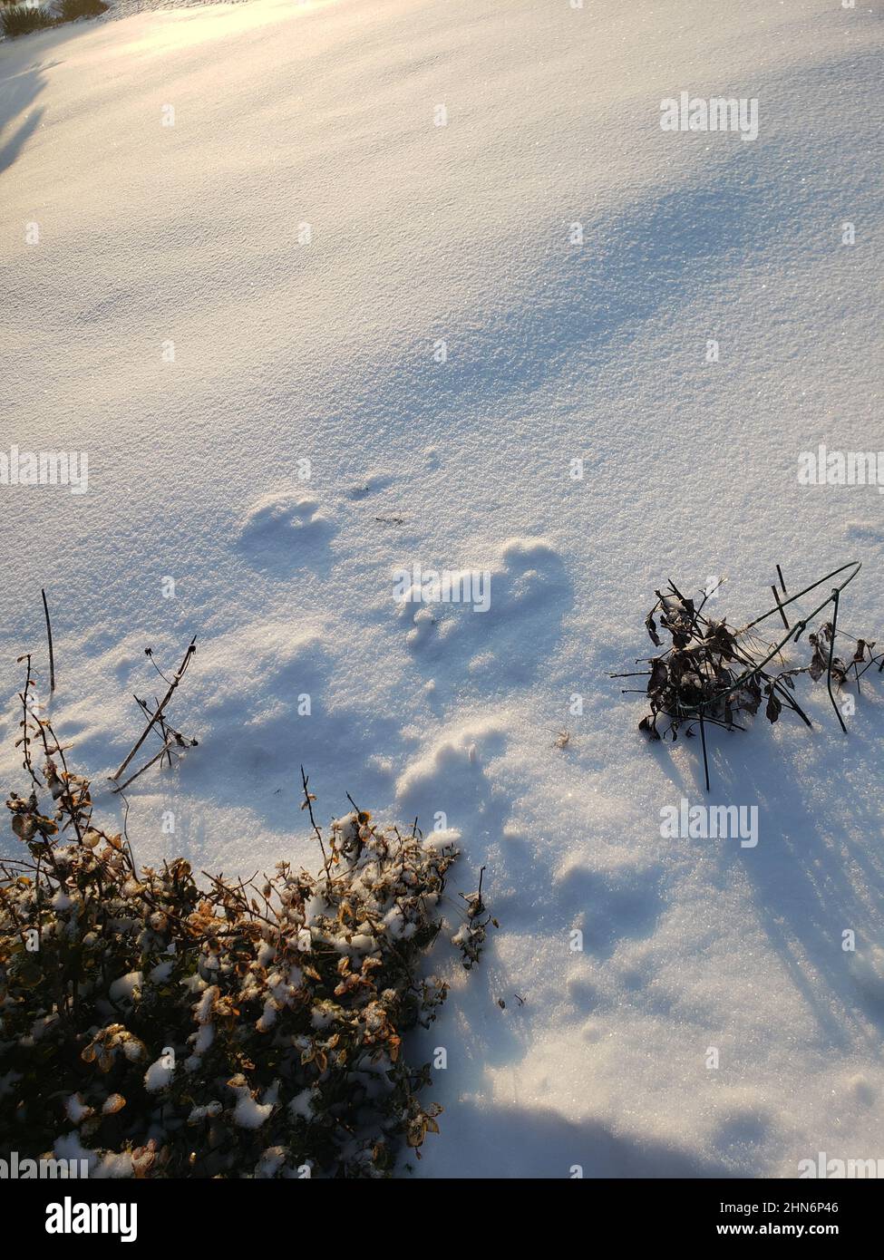 Cold wave heavy snowfall hi-res stock photography and images - Alamy