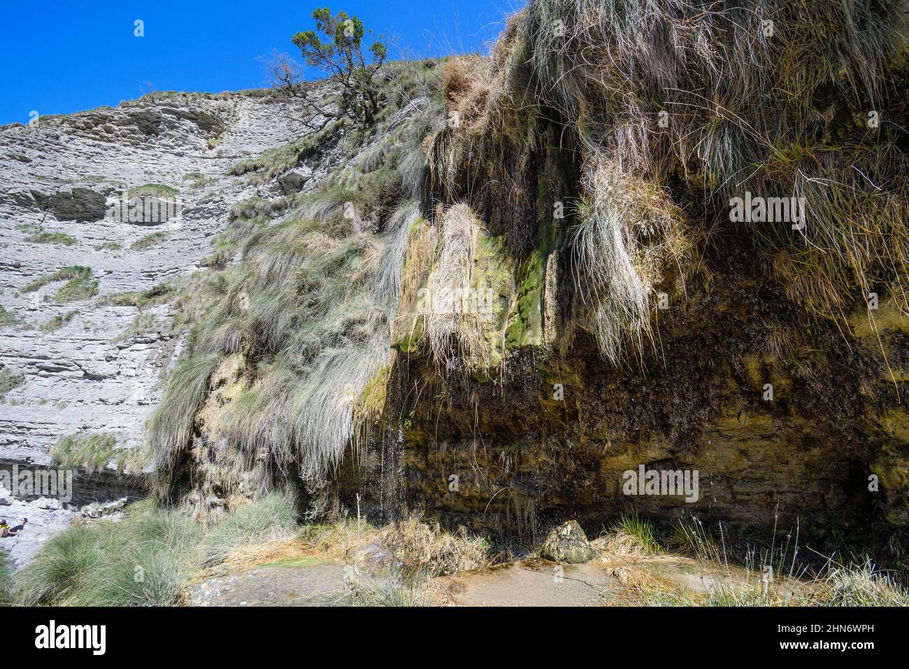 Calcareous tuffs in the Delika canyon next to the source of the Nervión river Stock Photo