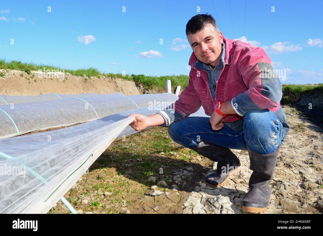 FRANCE. CHARENTE-MARITIME (17). ISLAND OF OLERON. CHATEAU D'OLERON. BERNARD MONTAUZIER, OYSTER FARMER, ALSO GROWS SALICORNIA. Stock Photo