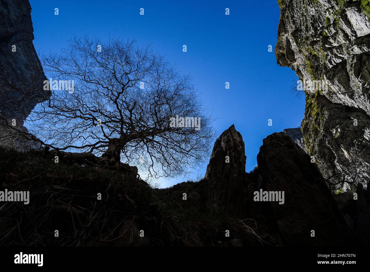 Silhouette of a tree without leaves among the rocks of Delika Stock Photo