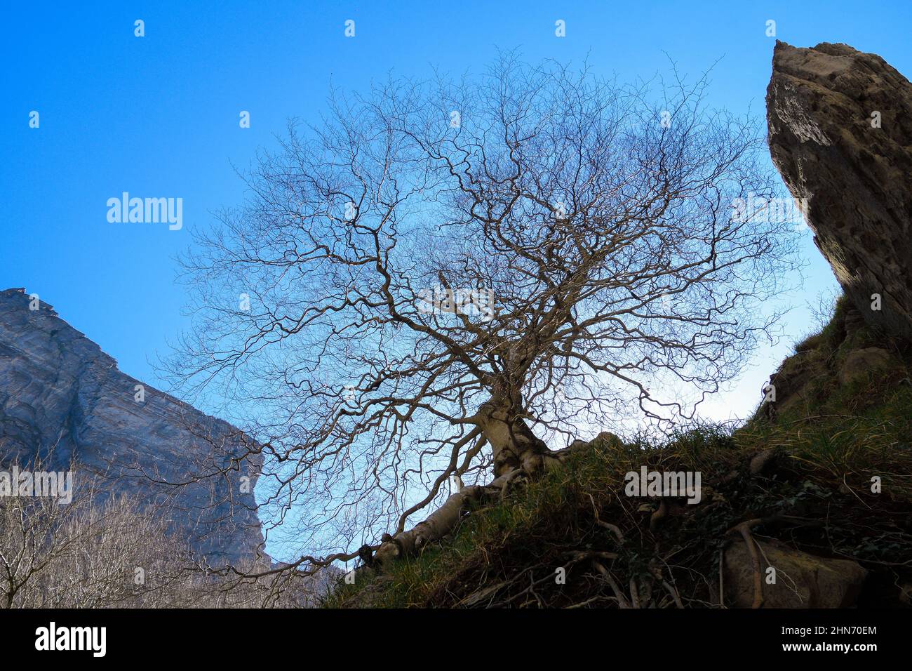 Silhouette of a tree without leaves among the rocks of Delika Stock Photo