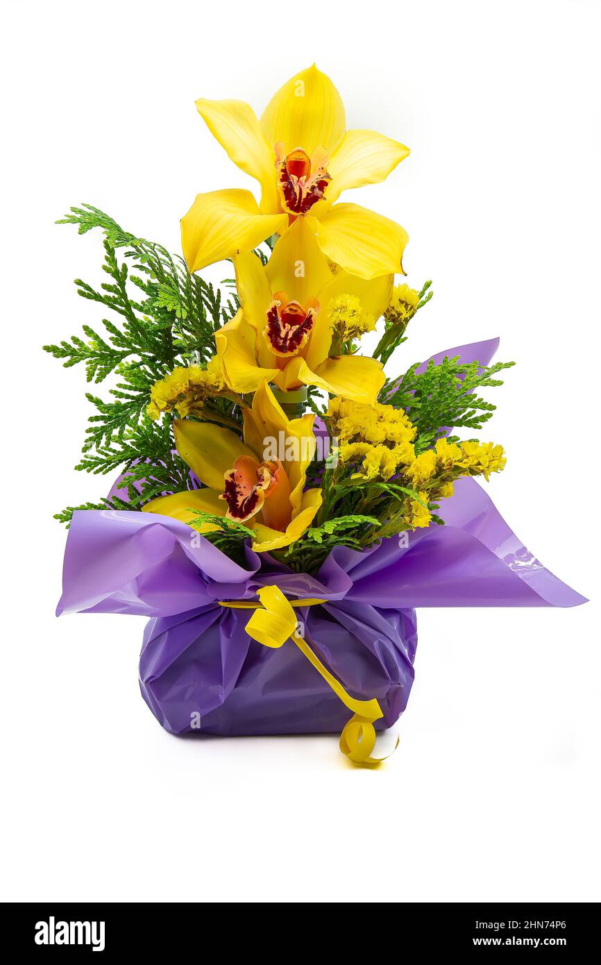 vertical view on white background of a pot of yellow orchids wrapped and decorated for a gift. orchids are one of the most used flowers as gifts Stock Photo