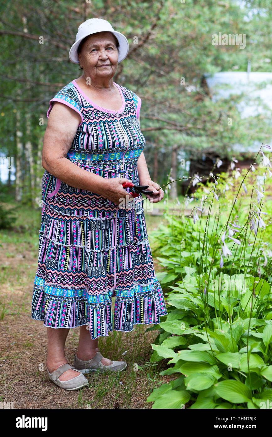 Old Caucasian lady with garden pruner in her hands, grandma works in spring season outdoor Stock Photo