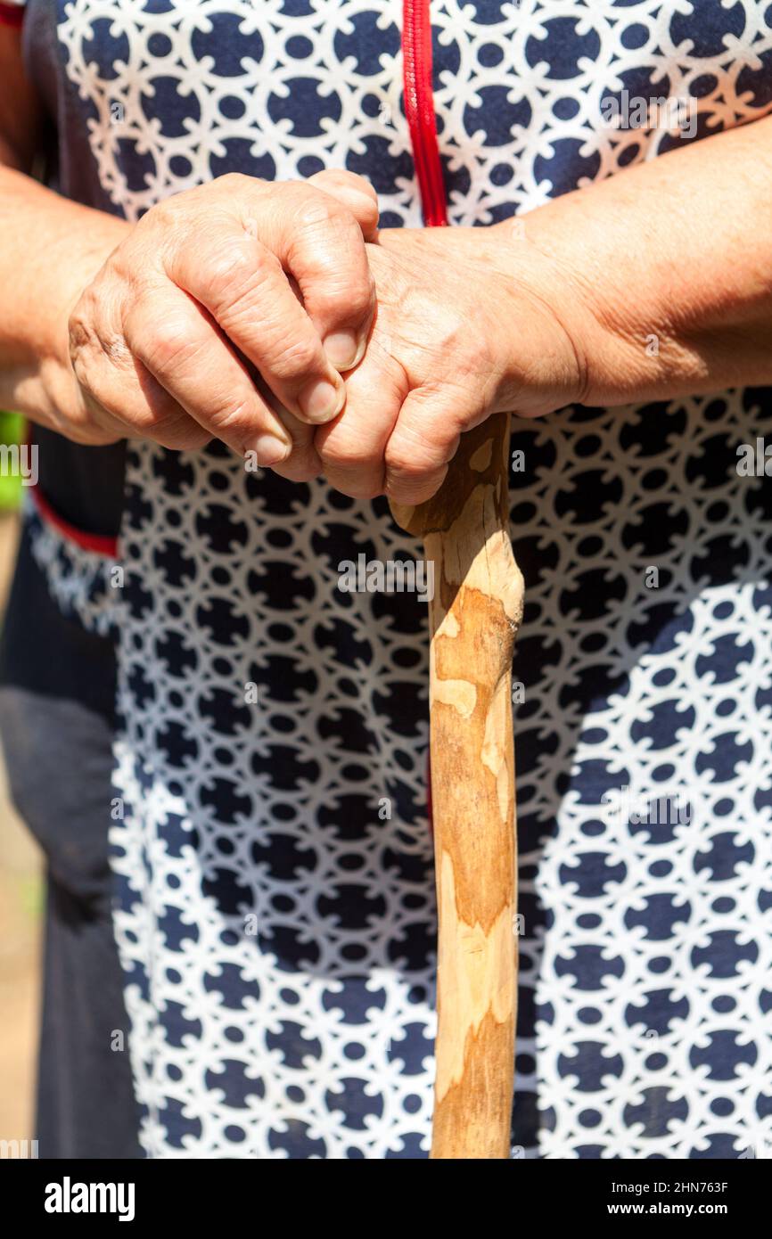 Close up view at elder Caucasian woman hands holding wooden walking stick, close up view Stock Photo