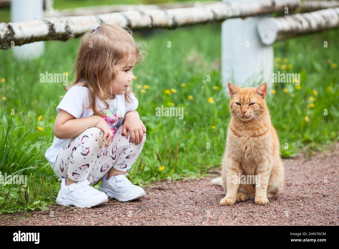 Little Caucasian girl sitting on pathway with red cat, kid and pet Stock Photo