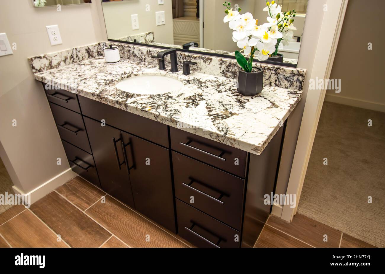 Granite Counter Bathroom Vanity with Plant Stock Photo Alamy
