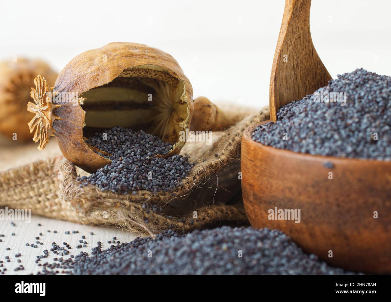 Full pod hi-res stock photography and images - Alamy