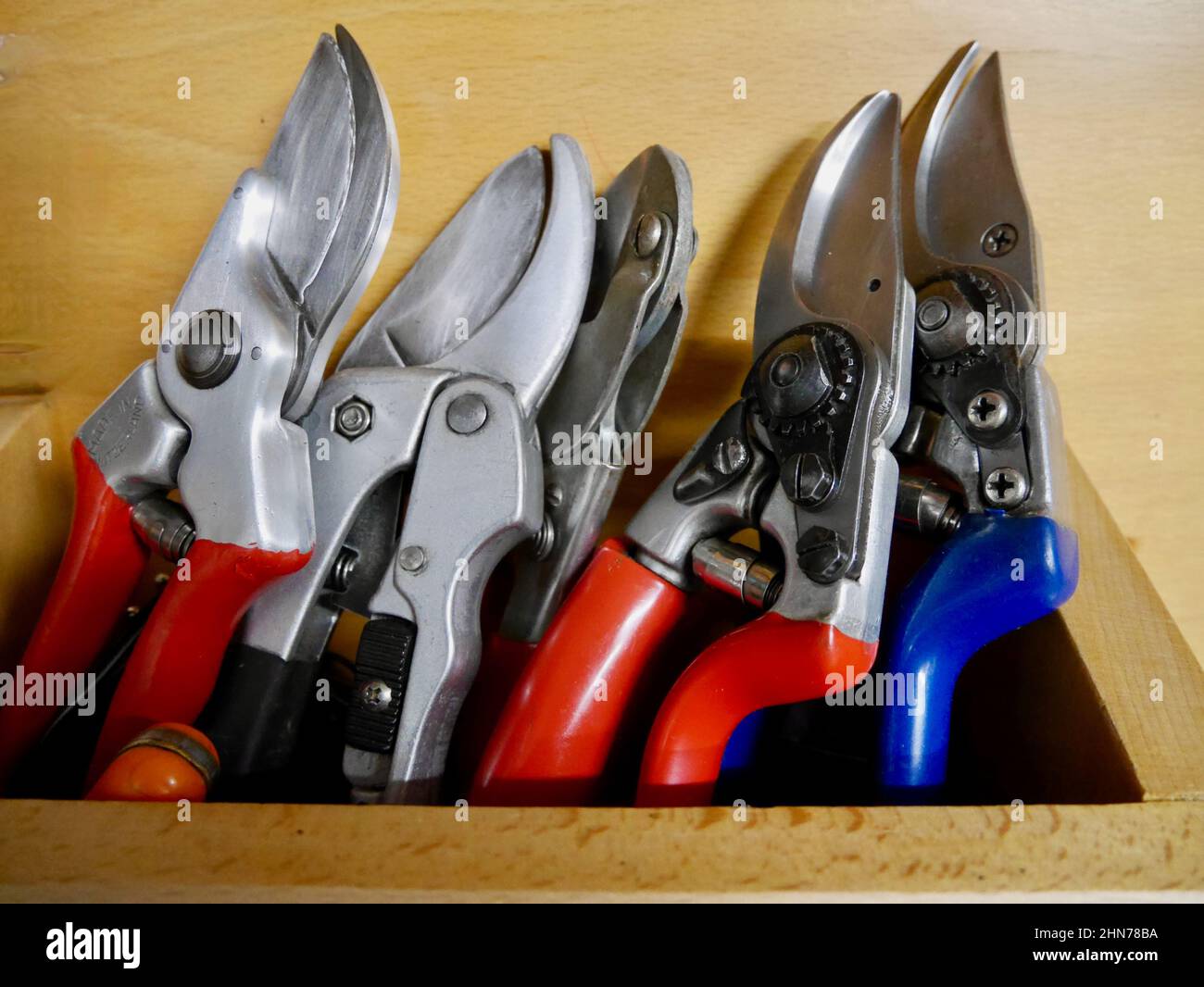 Close up of different pruning shears in a wooden tool shed. High quality photo. High quality photo Stock Photo