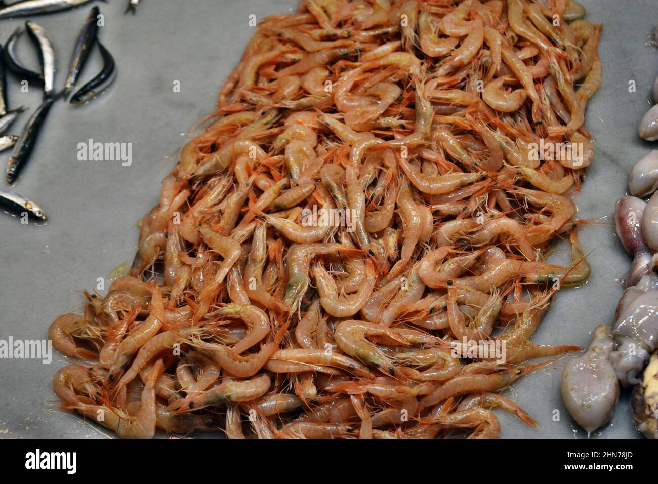 Fresh and healthy seafood prawns for sale at a market in Spain, Europe Stock Photo