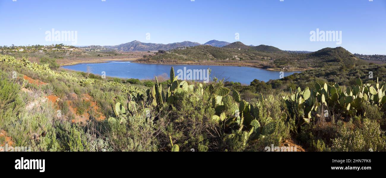 Green Desert Cactus Field and Scenic Blue Lake Hodges Landscape Panorama in San Dieguito River Park. Sunny Winter Day Hike in Southern California, USA Stock Photo