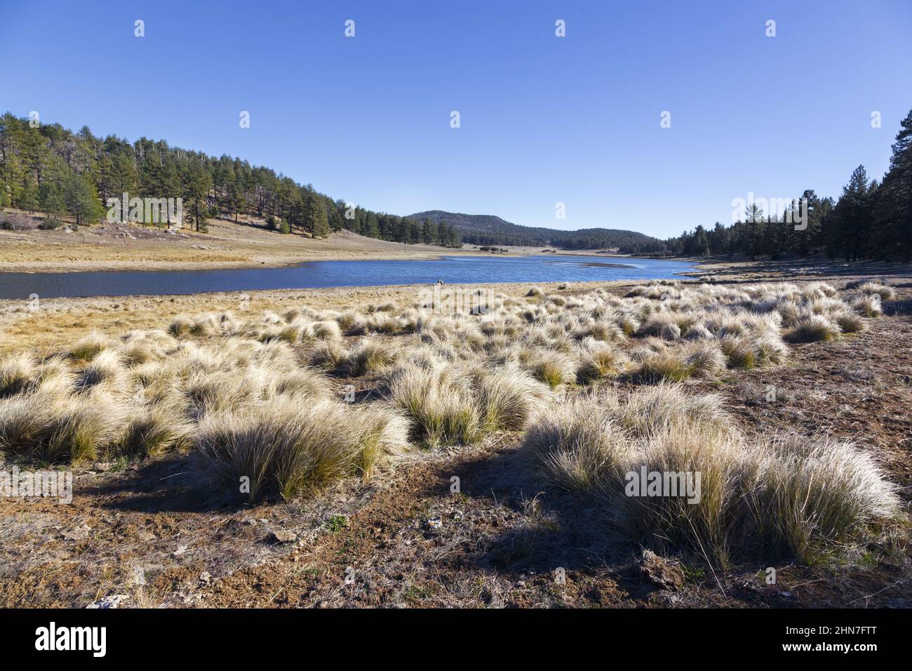 Big Laguna Lake Shore Grassland and Alpine Meadows Panoramic Landscape. Scenic Hiking Cleveland National Forest, Southern California Sunny Winter Day Stock Photo