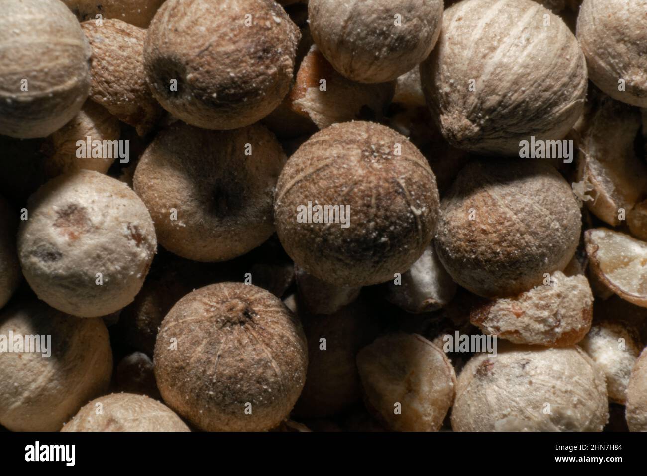 White pepper close-up, food spices used for cooking purposes. Aromatic ingredients for food preparation. Cuisine print, backgrounds and thematic decoration Stock Photo