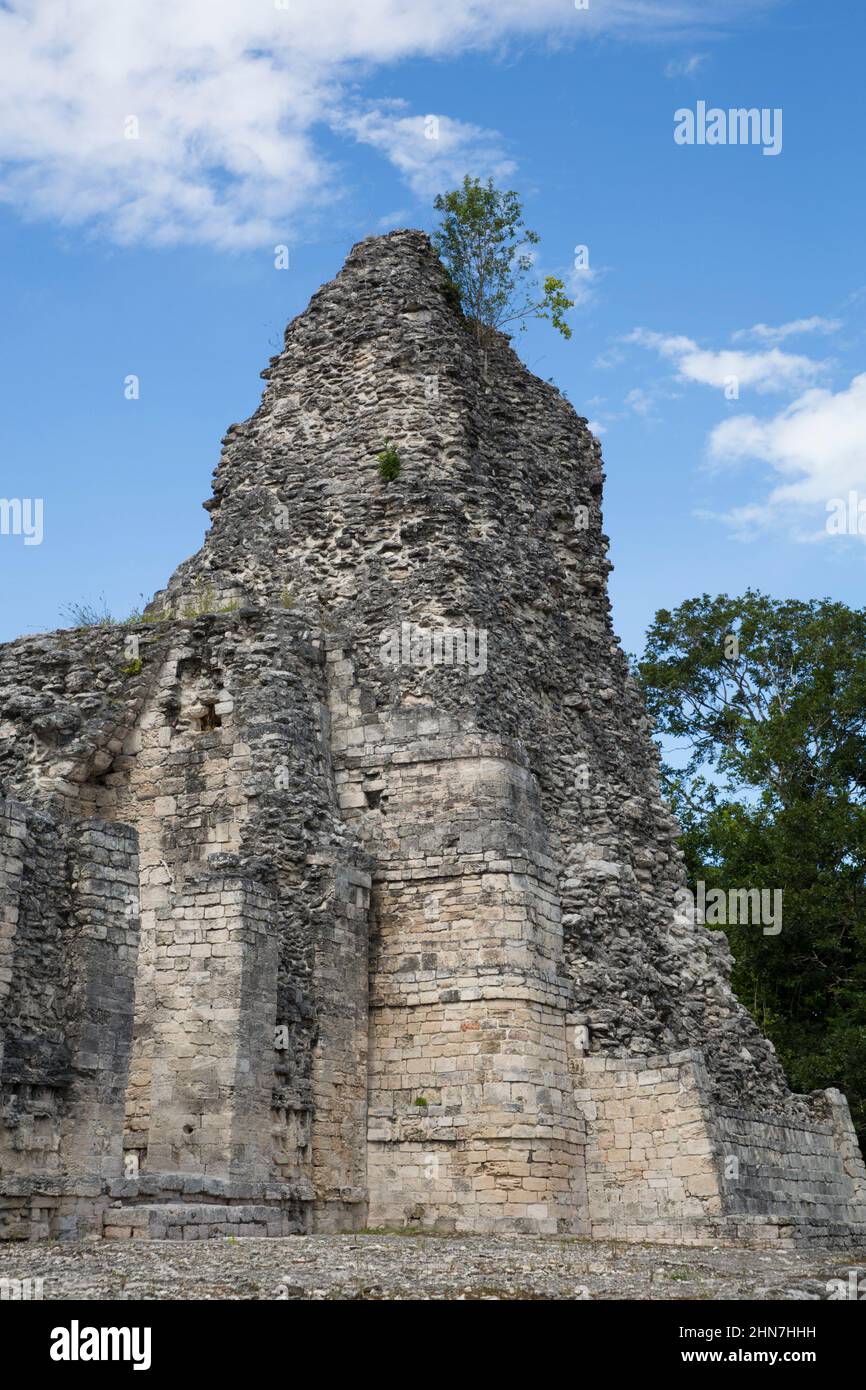 Mayan Ruins, Structure 1, Xpujil Archaeological Zone, Rio Bec Style, Near Xpujil, Campeche State, Mexico Stock Photo