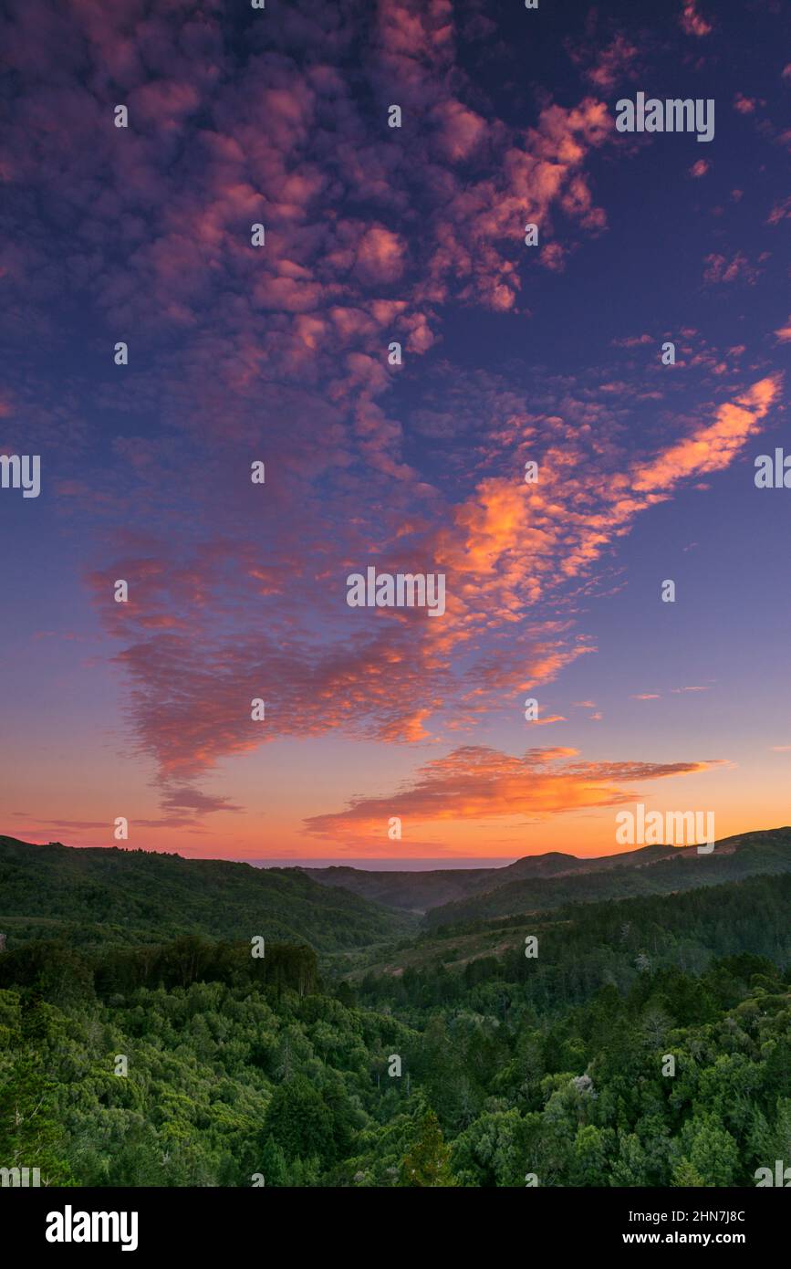 Sunset, Franks Valley, Mount Tamalpais State Park, Marin County, California Stock Photo