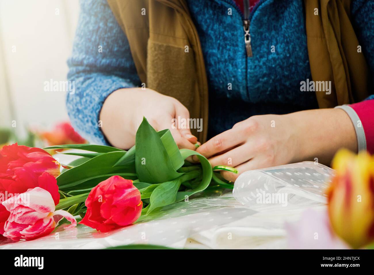 Woman florist makes bouquet of fresh tulips. Spring flowers in flower shop. Small business for gardeners. Growing plants in greenhouse. Stock Photo