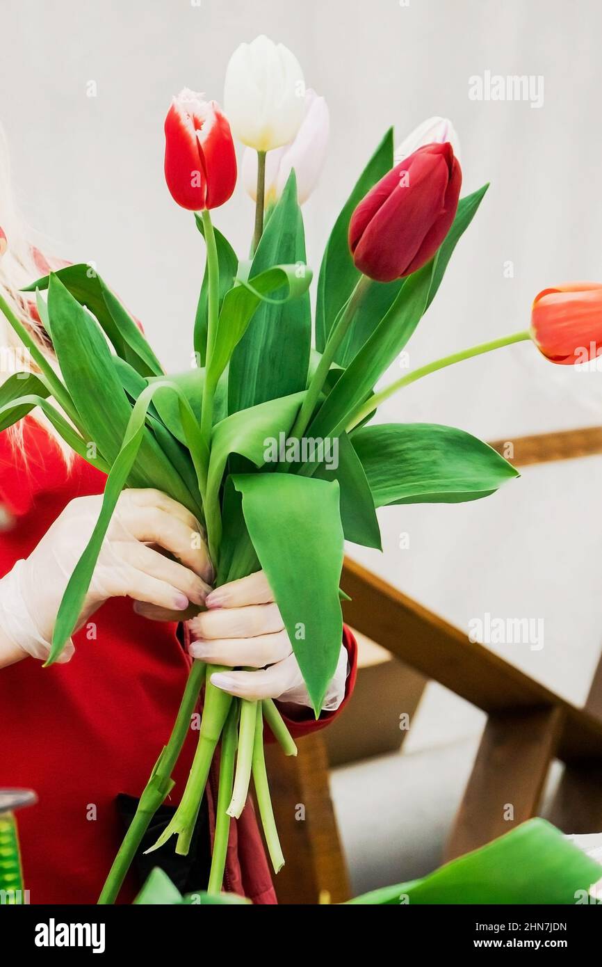 Woman florist makes bouquet of fresh tulips. Spring flowers in flower shop. Small business for gardeners. Growing plants in greenhouse. Stock Photo