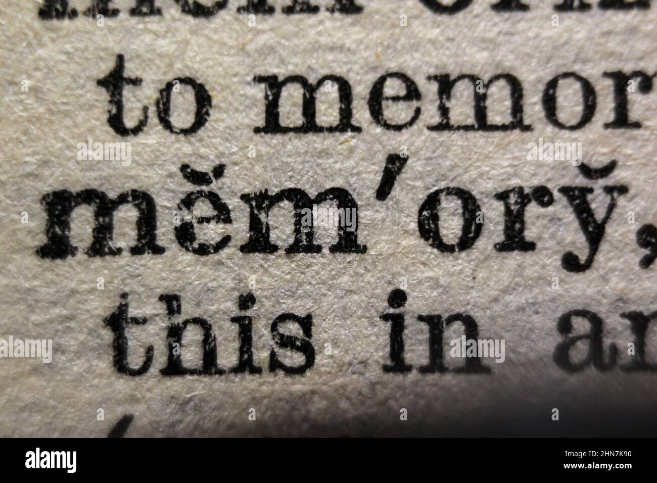 Word 'memory' printed on dictionary page, macro close-up Stock Photo