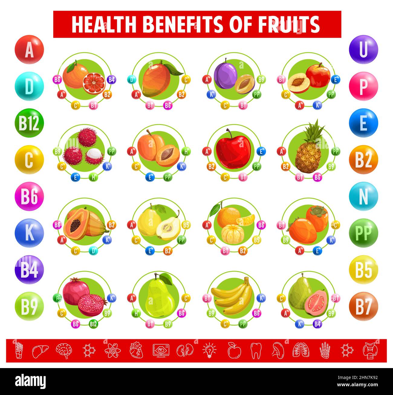 Chart table content of vitamins and minerals in fruits. Vector grapefruit,  mango, plum and peach, rambutan, apricot and apple or pineapple. Papaya, pe  Stock Vector Image & Art - Alamy