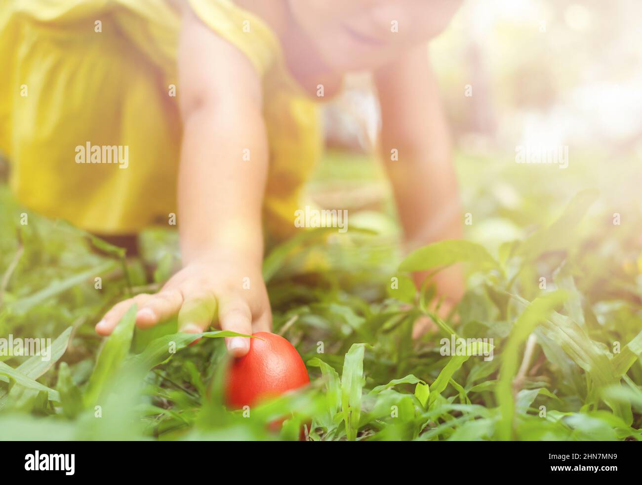 Child reaching for a red easter egg on a backyard hunt Stock Photo