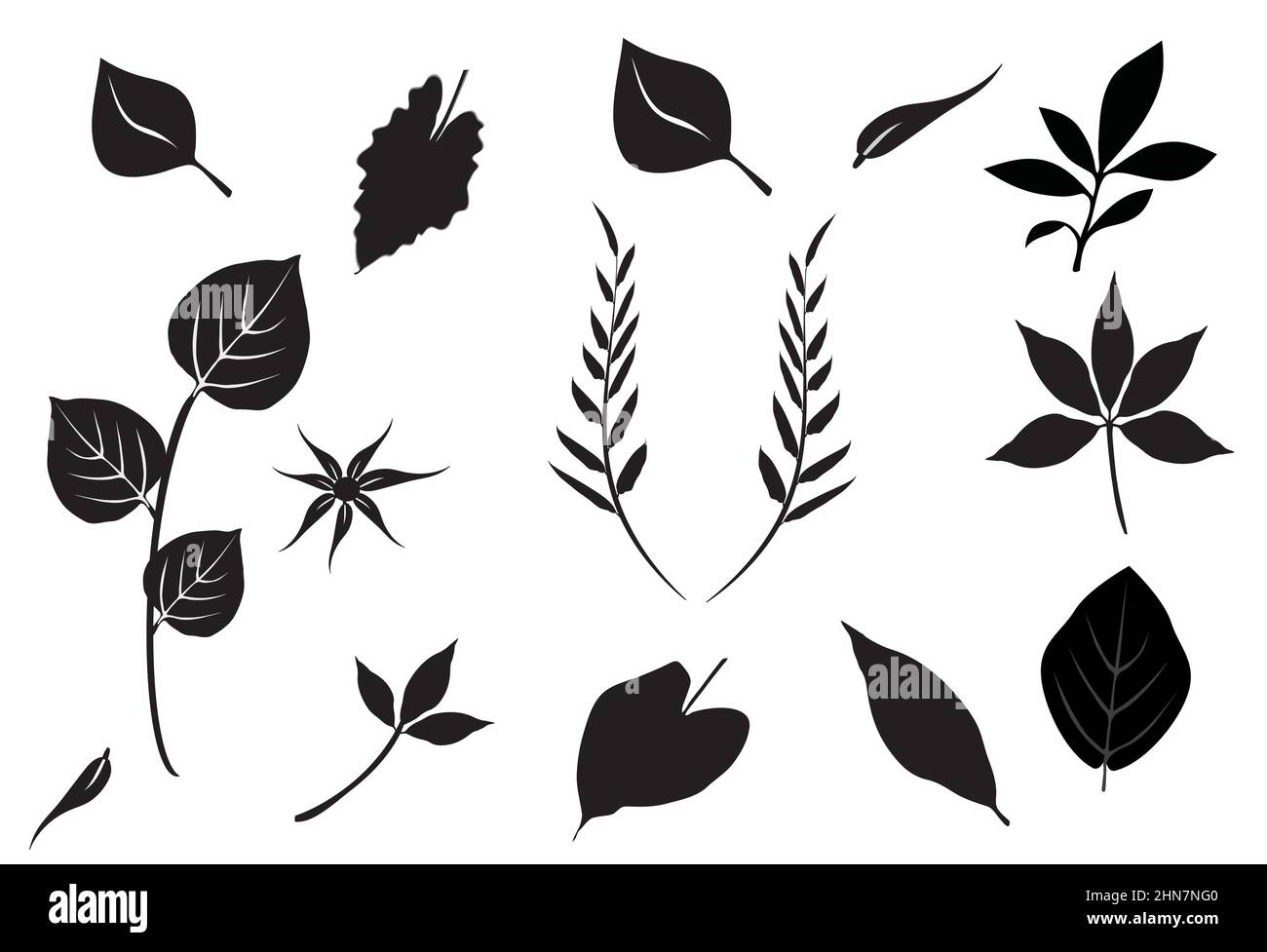 silhouette of leaves of different shapes and seizes on white background Stock Vector