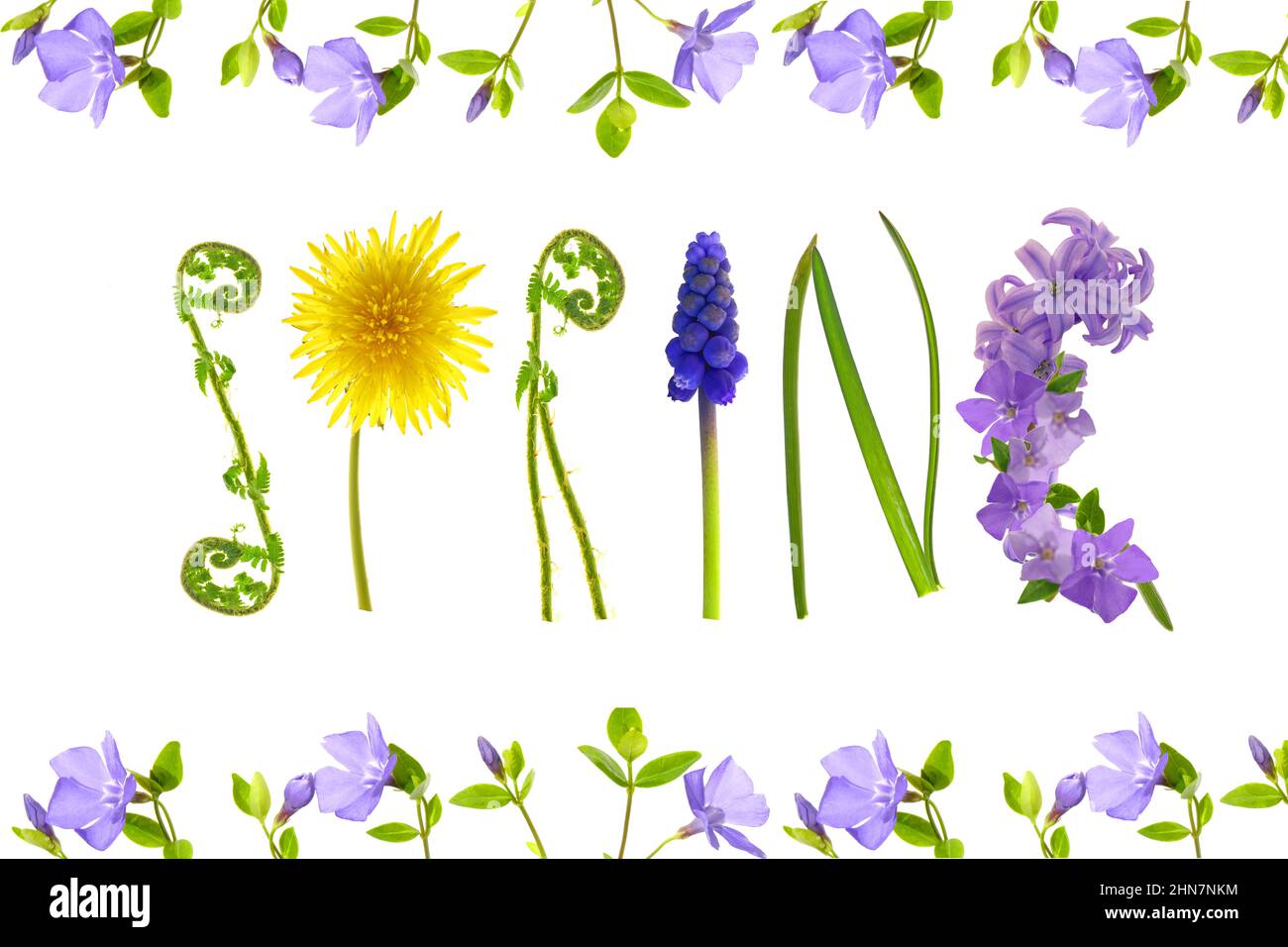 Hello spring.Floral letters and green grass in a flower frame isolated on white background . Spring banner. Floral alphabet. Spring time.  Stock Photo