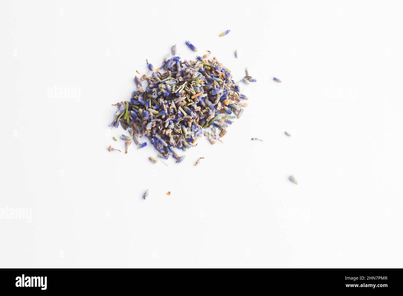 Dry lavender flowers. Tea from lavender flowers. Healing herbs of mountain lavender. On white