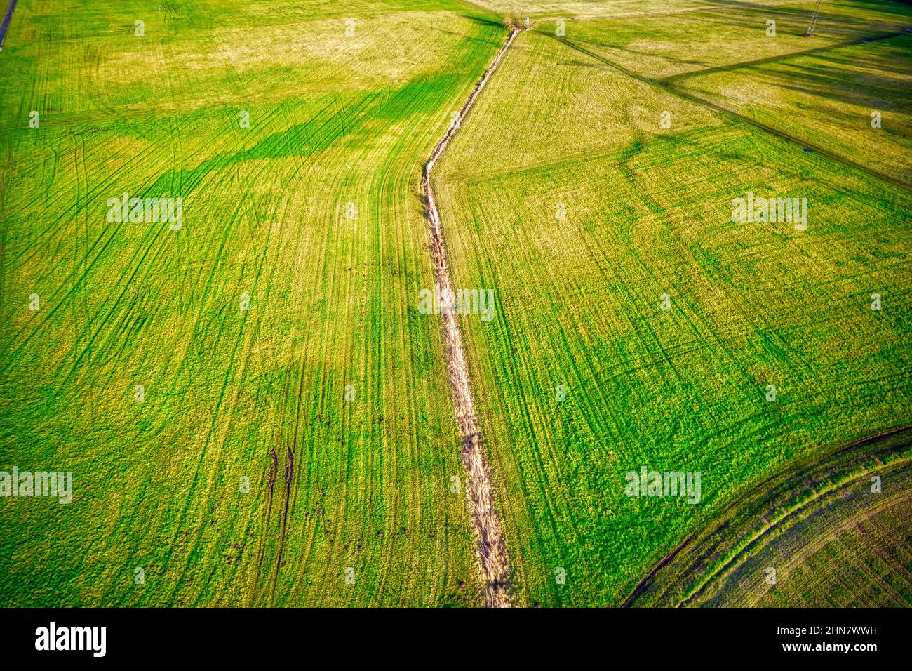 Scenic view of a path in a rural area with green meadows Stock Photo ...