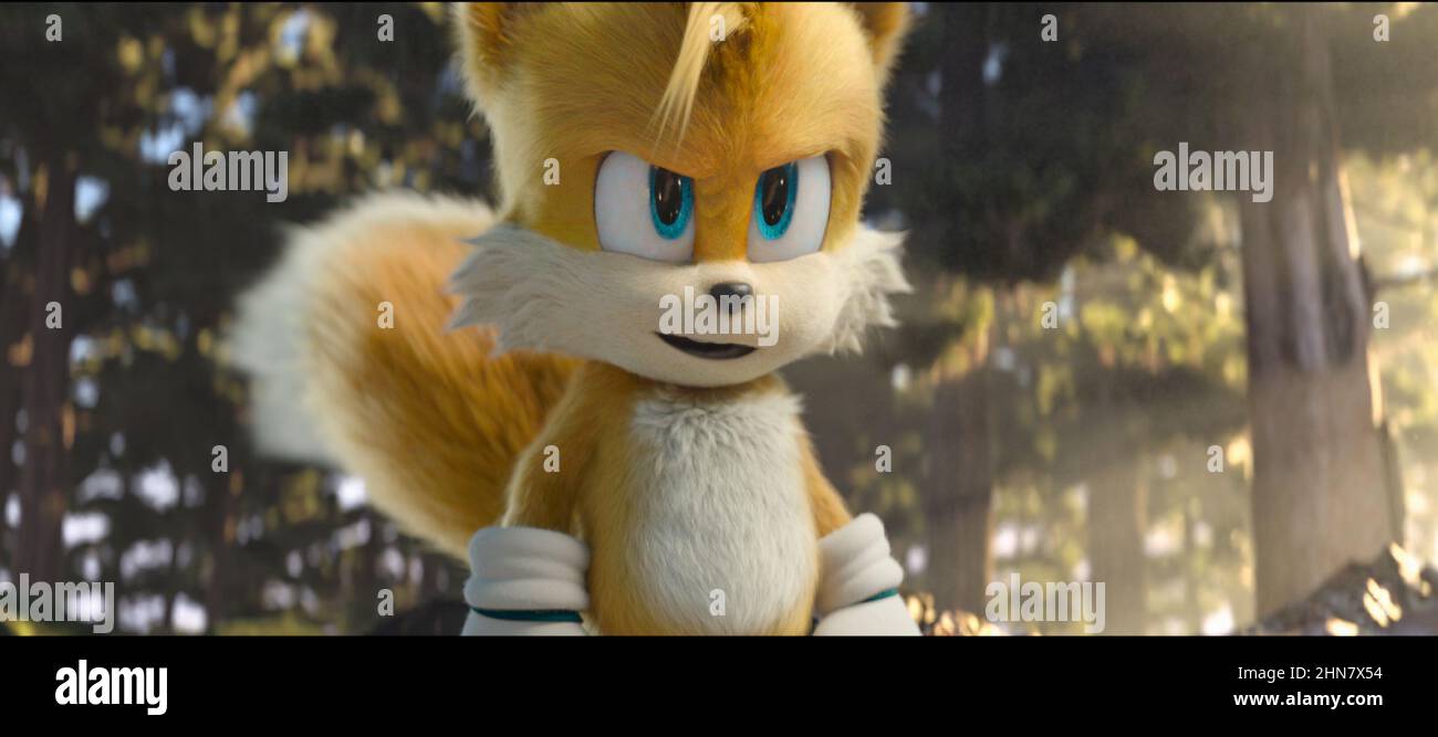 Tails ( Sonic O Filme 2 ) in 2023  Hedgehog movie, Tails sonic the  hedgehog, Sonic