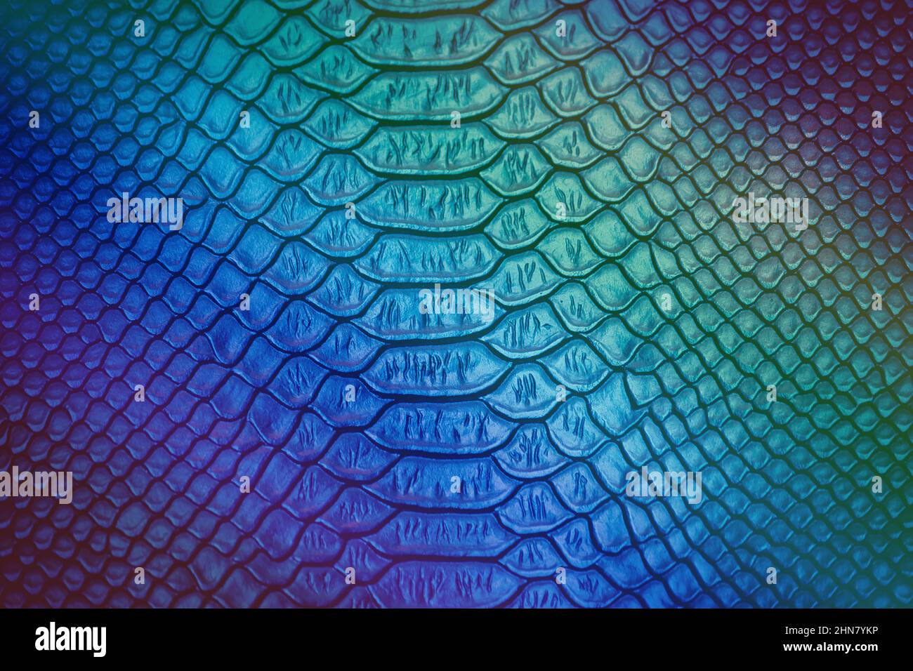 Close up of Luxury snake skin texture use for background Stock Photo ...