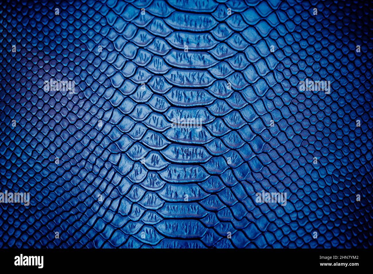 Close up of Luxury snake skin texture use for background Stock Photo ...