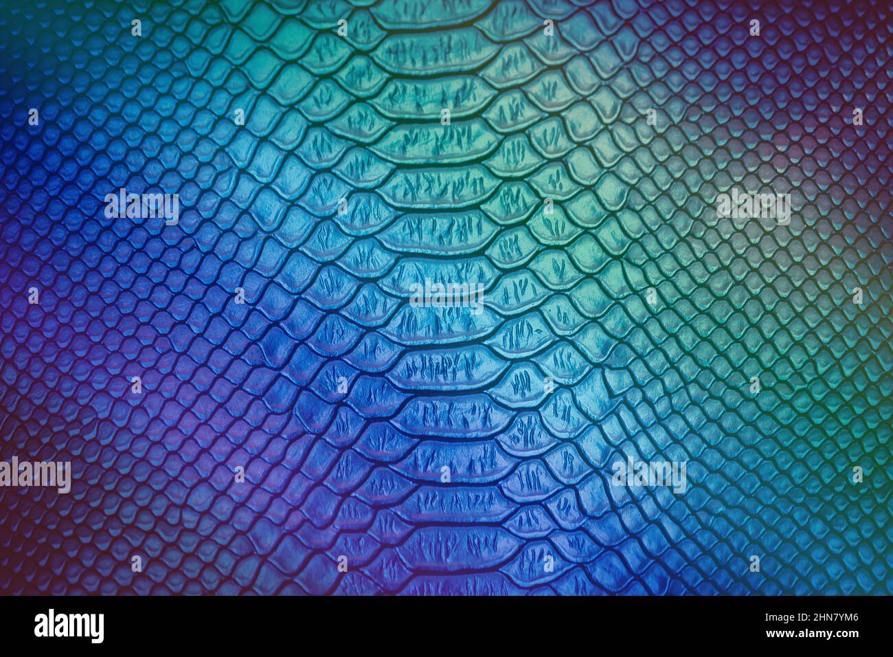 Close up of Luxury snake skin texture use for background Stock Photo ...
