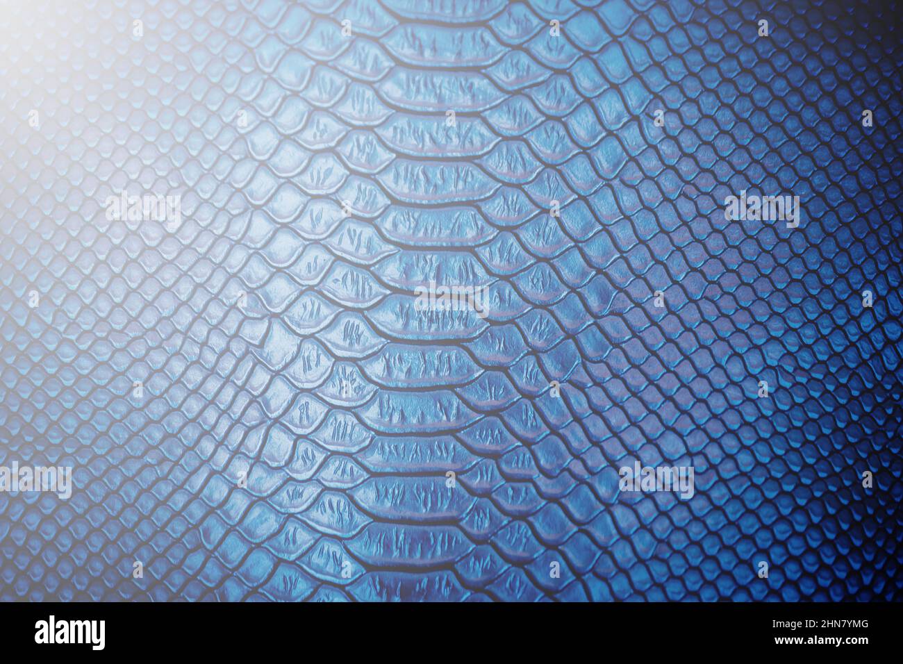 Close up of Luxury snake skin texture use for background Stock Photo ...