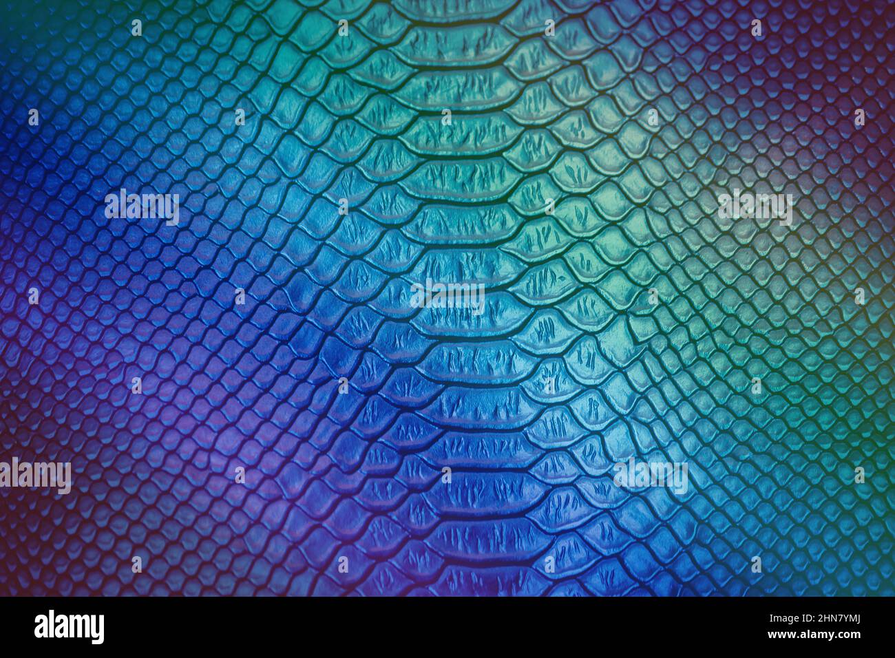 Close up of Luxury snake skin texture use for background Stock Photo ...