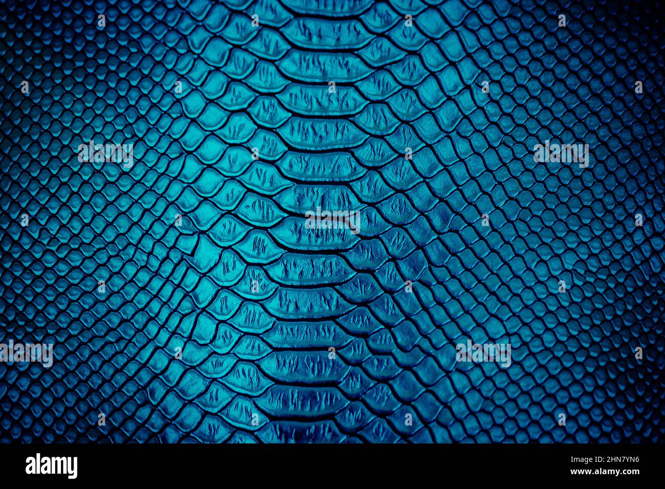 Close up of Luxury snake skin texture use for background Stock Photo ...