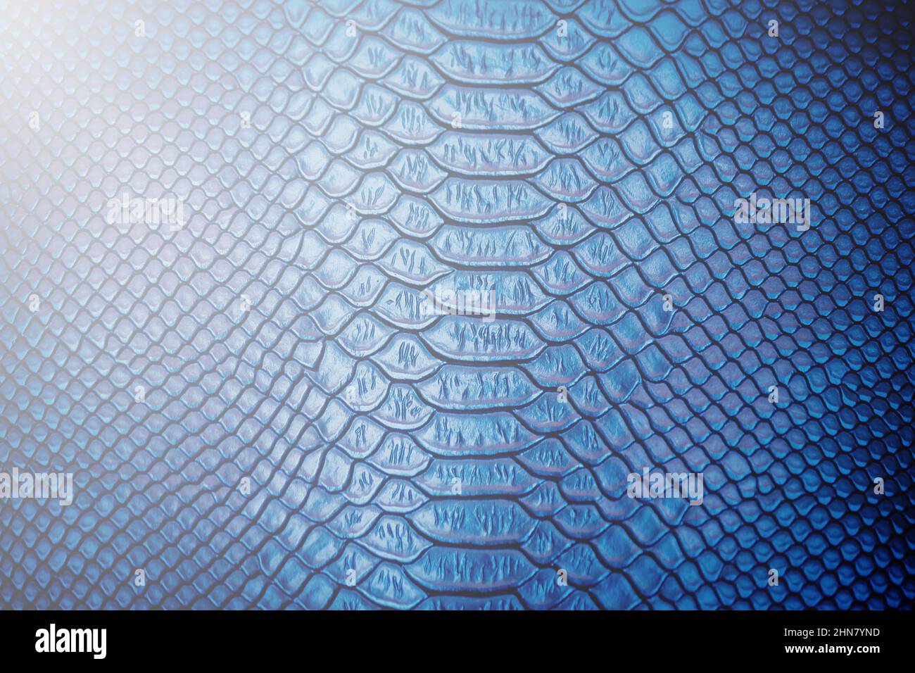 Close up of Luxury snake skin texture use for background Stock Photo ...
