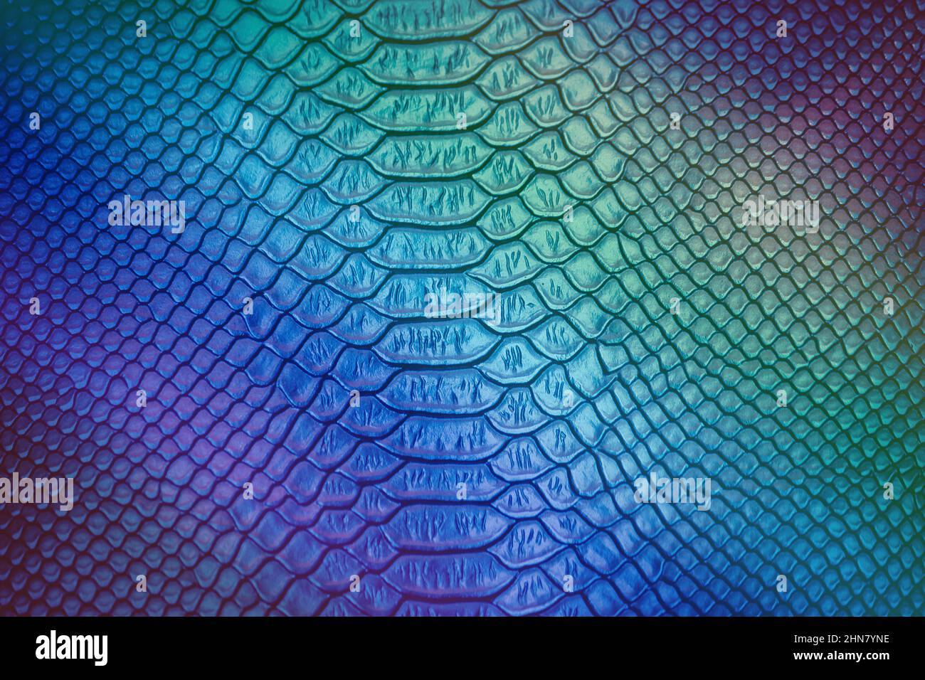 Close up of Luxury snake skin texture use for background Stock Photo ...